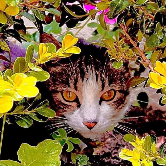 Meet your Posher, Kathryn - Picture 5 of 14